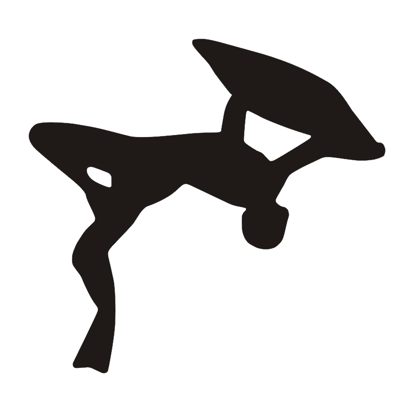 Bodyboarding Bodyboarder - Boo – Bodyboard Boogie Board recenzja i cena